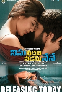 Ninnu Veedani Needanu Nene
