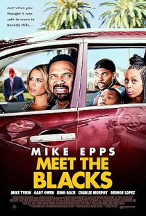 Meet the Blacks (2016) | MoVRiP