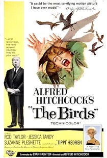 The Birds (1963) | MoVRiP