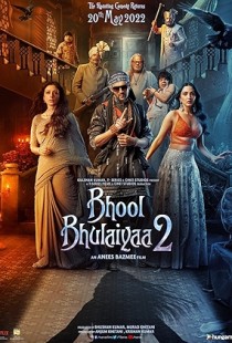 Bhool Bhulaiyaa 2 (2022) | MoVRiP