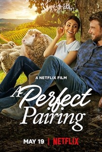 A Perfect Pairing (2022) | MoVRiP