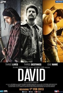 David (2013) | MoVRiP