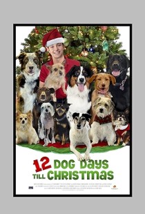 12 Dog Days Till Christmas (2014) | MoVRiP