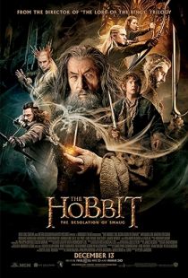 The Hobbit: The Desolation of Smaug (2013) | MoVRiP