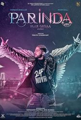 Parinda Paar Geyaa (2023) | MoVRiP