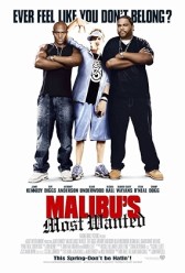 Malibu's Most Wanted (2003) | MoVRiP