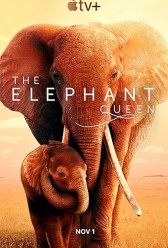 The Elephant Queen (2018) | MoVRiP