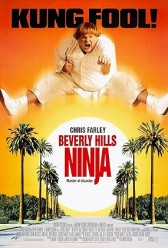 Beverly Hills Ninja (1997) | MoVRiP