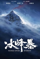 Wings Over Everest (2019) | MoVRiP