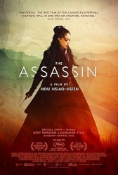 The Assassin (2015) | MoVRiP