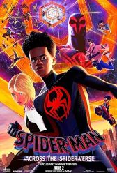 Spider-Man: Across the Spider-Verse (2023) | MoVRiP