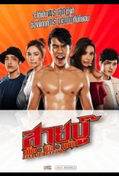 Fist of Stardom (2019) | MoVRiP