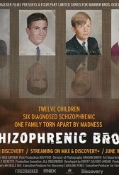 Six Schizophrenic Brothers (2024) | MoVRiP