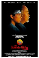 The Karate Kid Part II (1986) | MoVRiP